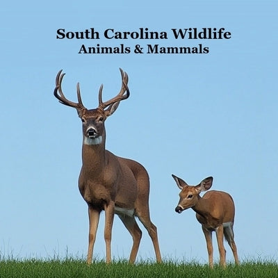 South Carolina Animals and Mammals Kids Wildlife Book: Great Wildlife Book about Animals and Mammals in South Carolina by Marie, Kinsey