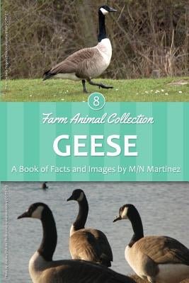 Geese by Martinez, M/N