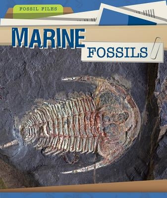 Marine Fossils by Niver, Heather Moore