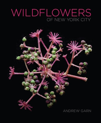 Wildflowers of New York City by Garn, Andrew