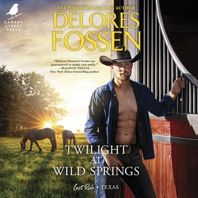 Twilight at Wild Springs by Fossen, Delores
