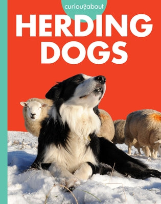 Curious about Herding Dogs by Meister, Cari