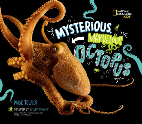 Mysterious, Marvelous Octopus by Towler, Paige