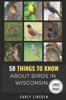 50 Things to Know About Birds in Wisconsin Large Print: Birding in the Badger State by Know, 50 Things to