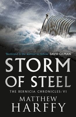 Storm of Steel by Harffy, Matthew