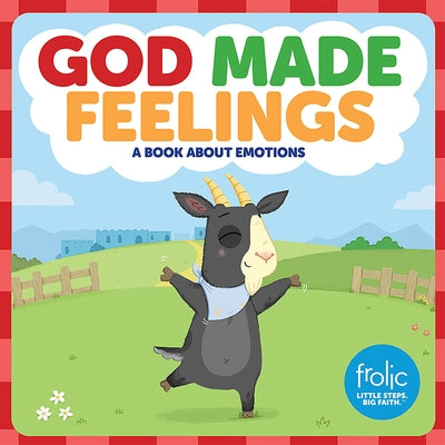 God Made Feelings: A Book about Emotions by Hilton, Jennifer