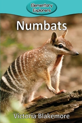 Numbats by Blakemore, Victoria