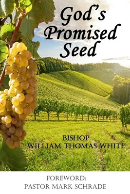 God's Promised Seed: Book Studies of Jesus the Christ by Schrade, Pastor Mark