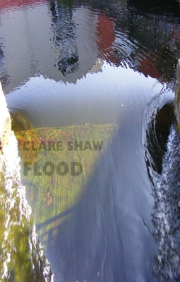 Flood by Shaw, Clare