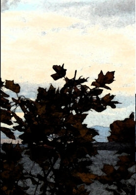 Deep Apple Pie, Language and the Law in Canada by Sayar, Keyvan
