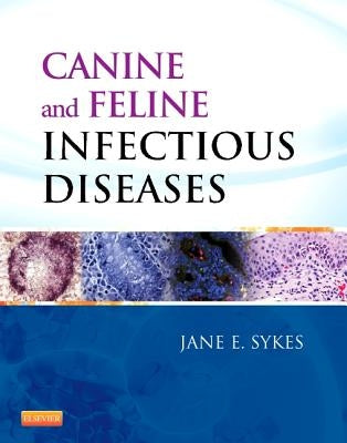 Canine and Feline Infectious Diseases by Sykes, Jane E.