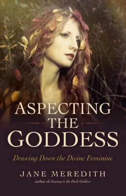 Aspecting the Goddess: Drawing Down the Divine Feminine by Meredith, Jane