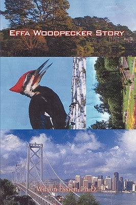 Effa Woodpecker Story by Wilson Essien