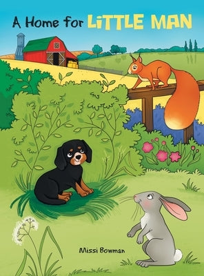 A Home for Little Man by Bowman, Missi