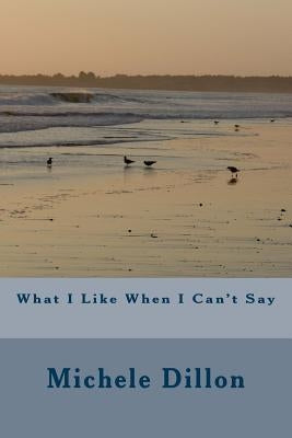 What I Like When I Can't Say by Dillon, Michele C.