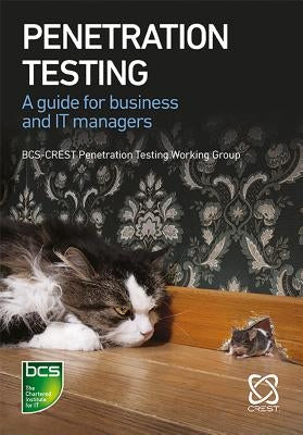 Penetration Testing: A Guide for Business and IT Managers by Hayes, James