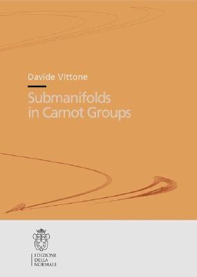 Submanifolds in Carnot Groups by Vittone, Davide