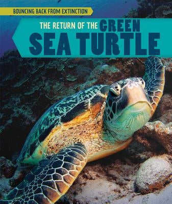 The Return of the Green Sea Turtle by Shofner, Melissa Raé