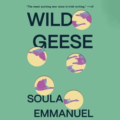 Wild Geese by Emmanuel, Soula