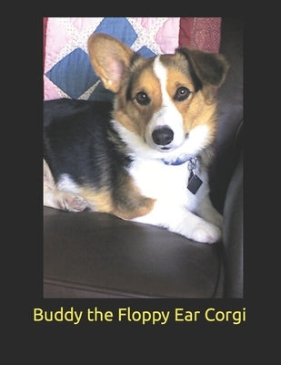 Buddy The Floppy Ear Corgi by Tinsley, William
