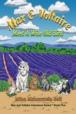 Max and Voltaire Meet a Wise Old Bird by Bail, Mina Mauerstein