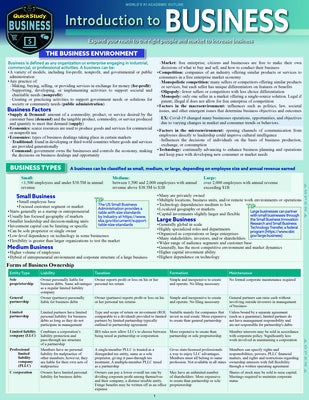 Introduction to Business: A Quickstudy Laminated Reference Guide by Allison, Kyle