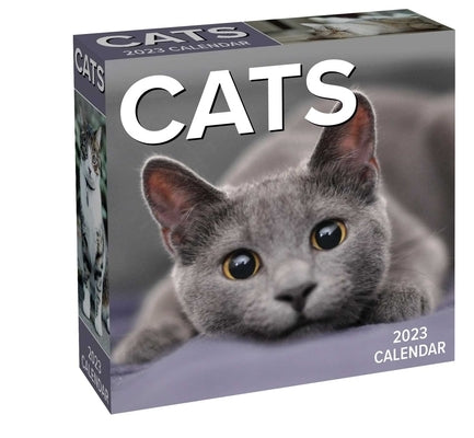 Cats 2023 Day-To-Day Calendar by Andrews McMeel Publishing