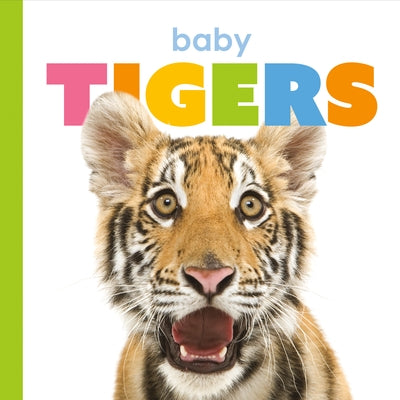 Baby Tigers by Riggs, Kate