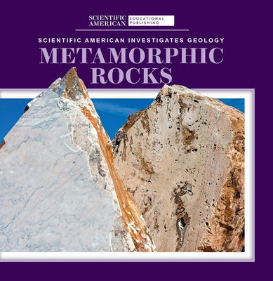 Metamorphic Rocks by Longoria, Taron