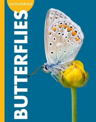 Curious about Butterflies by Prischmann, Deirdre A.