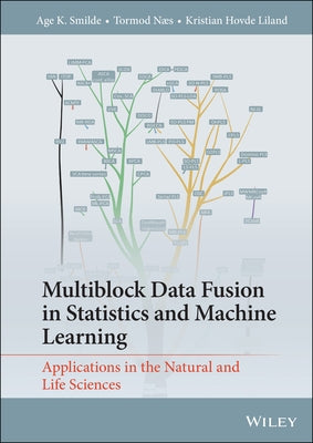 Multiblock Data Fusion in Statistics and Machine Learning: Applications in the Natural and Life Sciences by Smilde, Age K.