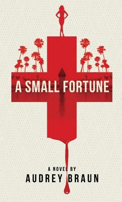 A Small Fortune by Braun, Audrey