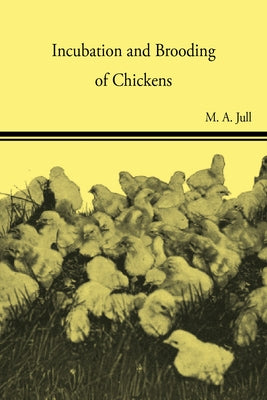 Incubation and Brooding of Chickens by Jull, M. A.
