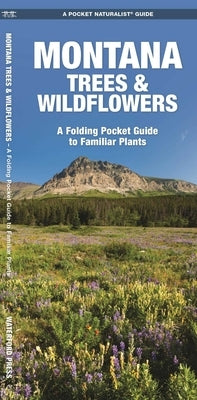 Montana Trees & Wildflowers by Kavanagh, James