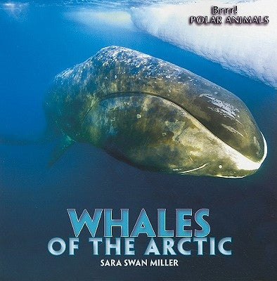 Whales of the Arctic by Swan Miller, Sara