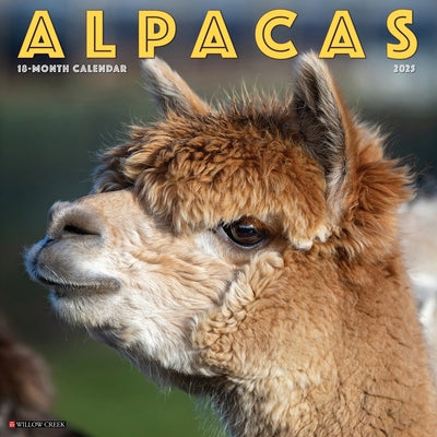 Alpacas 2025 12 X 12 Wall Calendar by Willow Creek Press