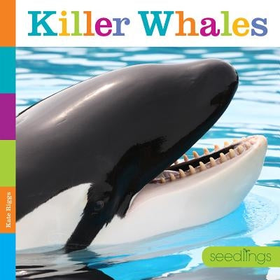 Seedlings: Killer Whales by Riggs, Kate