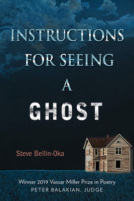 Instructions for Seeing a Ghost by Bellin-Oka, Steve