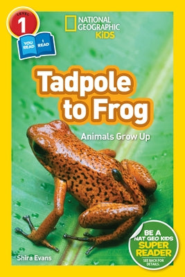 National Geographic Readers: Tadpole to Frog (L1/Co-Reader) by Evans, Shira