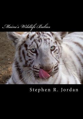 Maine's Wildlife Babies: D.E.W. Animal Kingdom Baby Residents by Jordan, Stephen R.