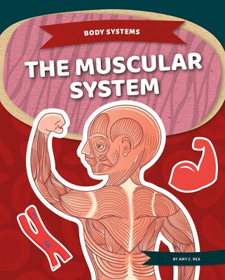 The Muscular System by Rea, Amy C.