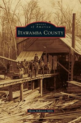 Itawamba County by Mills, Mona Robinson