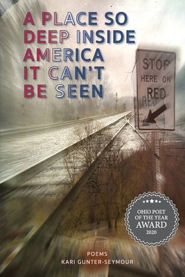 A Place So Deep Inside America It Can't Be Seen: Poems by Gunter-Seymour, Kari