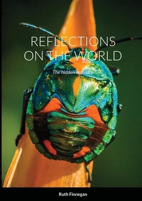 Reflections on the World: The hidden ordinary by Finnegan, Ruth
