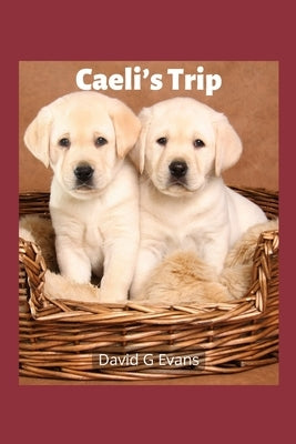 Caeli's Trip by Evans, David G.