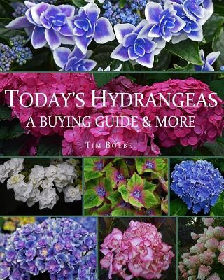 Today's Hydrangeas: A Buying Guide & More by Boebel, Tim