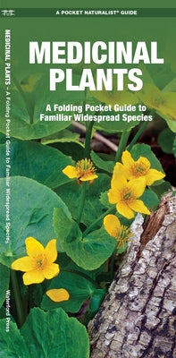 Medicinal Plants: An Introduction to Familiar North American Species by Kavanagh, James