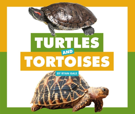Turtles and Tortoises by Gale, Ryan