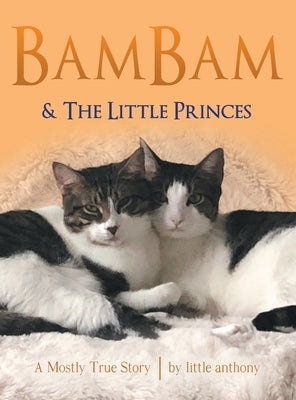 Bambam & the Little Princes: A Mostly True Story by Anthony, Little