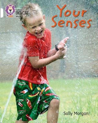 Your Senses: Band 10/White by Morgan, Sally